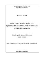 Phát triển nguồn nhân lực tại Công ty Xuất nhập khẩu Đà Nẵng (Cotimex DaNang)