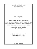 Hoàn thiện công tác thẩm định tín dụng trong cho vay trung và dài hạn tại Ngân hàng Nông nghiệp và Phát triển Nông thôn Việt Nam - Chi nhánh tỉnh Gia Lai