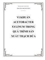 Vi khuẩn acetobacter xylinum trong quá trình sản xuất thạch dừa