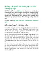 Những cách mở bài ấn tượng cho đề văn nghị luận