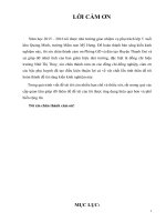 Một số biện pháp phát triển ngôn ngữ cho trẻ 5 6 tuổi trường MN thông qua hđ kể truyện, đọc thơ