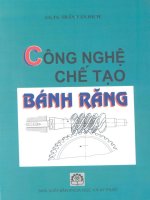 Công nghệ chế tạo bánh răng   gs  ts  trần văn địch, 329 trang