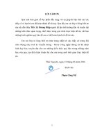 Xây dựng một số giải pháp kiểm thử cho hệ thống mạng doanh nghiệp vừa và nhỏ, áp dụng triển khai cho hệ thống mạng của trường đại học CNTTTT thái nguyên 