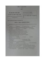 đề thi cơ sở văn hóa việt nam