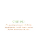 Phụ gia thực phẩm và biện pháp nâng cao chất lượng cảm quan cho thực phẩm và bán sản phẩm