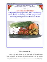 Biện pháp chỉ đạo giáo viên,nhân viên bổ sung canxi cho trẻ nhằm nâng cao chất lượng chăm sóc, nuôi dưỡng ở trường mầm non b liên ninh