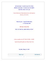 Cuộc thi khoa học kĩ thuật dành cho học sinh trung học  “MÁY ẤP TRƯNG CHIM TRĨ ĐA NĂNG”