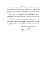 Kiểm thử sản phẩm thương mại điện tử shopify sử dụng một số công cụ kiểm thử tự động 