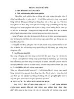 skkn mội số biện pháp giúp trẻ 5 – 6 tuổi khám phá môi trường xung quanh bằng vật thật thông qua những hoạt động thực tiễn” 