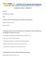Giải bài tập Tiếng Anh lớp 9 Chương trình mới Unit 11 SKILLS 2, LOOKING BACK  PROJECT 