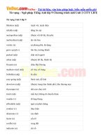Từ vựng  Ngữ pháp Tiếng Anh lớp 9 Chương trình mới Unit 2 CITY LIFE 