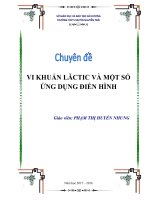 chuyên đề ôn thi học sinh giỏi sinh học thpt VI KHUẨN LĂCTIC và một số ỨNG DỤNG điển HÌNH 