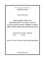 Hoàn thiện công tác bảo đảm tiền vay bằng tài sản tại Ngân hàng Nông nghiệp và Phát triển Nông thôn chi nhánh Hải Châ