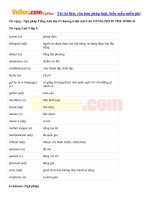Từ vựng  Ngữ pháp Tiếng Anh lớp 9 Chương trình mới Unit 9 ENGLISH IN THE WORLD 