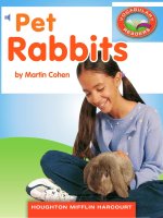 2 1 1 pet rabbits (science) 