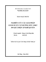 Nghiên cứu các giải pháp giảm suất cắt đường dây 110kV do quá điện áp khí quyển
