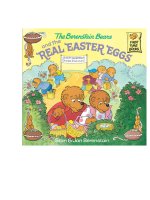 Berenstain bears and the real easter eggs 