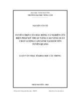 Tuyển chọn cây đầu dòng và nghiên cứu biện pháp kỹ thuật nâng cao năng suất chất lượng cam sành tại Hàm Yên, Tuyên Quang (LV thạc sĩ)