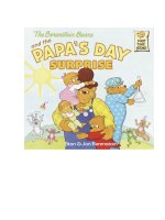 Berenstain bears and the papas day surprise 