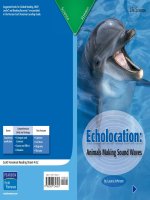 4 4 2 echolocation   animals making sound waves (life science) 