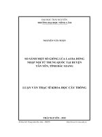 So sánh một số giống lúa lai ba dòng nhập nội từ Trung Quốc tại huyện Tân Yên tỉnh Bắc Giang (LV thạc sĩ)
