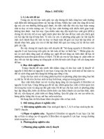 chuyên đề “Sử dụng nguyên lí Dirichlet và nguyên lí cực hạn trong việc giải các bài toán số học và hình học