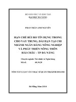 Hạn chế rủi ro tín dụng trong cho vay trung, dài hạn tại chi nhánh Ngân hàng Nông nghiệp và Phát triển nông thôn Hải Châu - TP Đà Nẵng