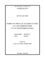 Nghiên cứu phân lập, xác định cấu trúc của axit hydroxycitric và các muối hydroxycitra