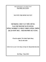 Mở rộng cho vay tiêu dùng tại chi nhánh Ngân hàng Nông nghiệp và Phát triển Nông thôn quận Sơn Trà - Thành phố Đà Nẵng