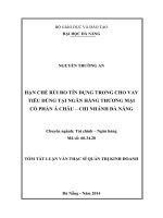 Hạn chế rủi ro tín dụng trong cho vay tiêu dùng tại Ngân hàng Thương mại Cổ phần Á Châu - Chi nhánh Đà Nẵng