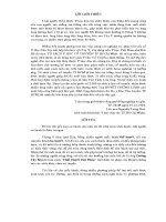 Huyết chứng luận 