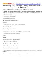 Giải bài tập Tiếng Anh lớp 9 Chương trình mới Review 2 (Unit 456) 