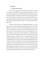 NGUYÊN NHÂN và ẢNH HƯỞNG của NHẬP SIÊU 2017