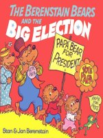 Berenstain bears and the big election 