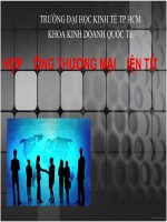 THUYẾT TRÌNH THƯƠNG MẠI ĐIỆN TỬ NĂM 2017