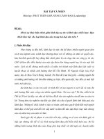 Mô tả sự khác biệt chính giữa lãnh đạo uy tín và lãnh đạo chiến lược cho ví dụ minh họa