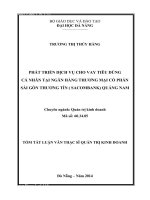Phát triển dịch vụ cho vay tiêu dùng cá nhân tại Ngân hàng Thương mại Cổ phần Sài Gòn Thương Tín (Sacombank) Quảng Na