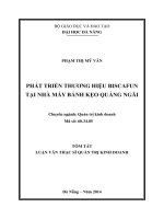Phát triển thương hiệu Biscafun tại Nhà máy bánh kẹo Quảng Ngãi