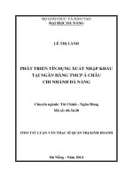 Phát triển tín dụng xuất nhập khẩu tại Ngân hàng TMCP Á Châu, Chi nhánh Đà Nẵn