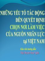 NHỮNG YẾU TỐ TÁC ĐỘNG ĐẾN QUYẾT ĐỊNH CHỌN VIỆC LÀM CỦA SINH VIÊN 2017
