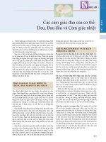 CHƯƠNG 49 Các cảm giác đau của cơ thể: Đau, Đau đầu và Cảm giác nhiệt