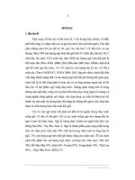 Nghiên cứu khả năng sinh trưởng, năng suất và chất lượng một số giống Ngô nếp lai tại tỉnh Vĩnh Phúc
