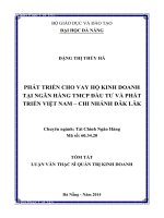 Phát triển cho vay hộ kinh doanh tại Ngân hàng TMCP Đầu tư và Phát triển Việt Nam - Chi nhánh Đăk Lăk