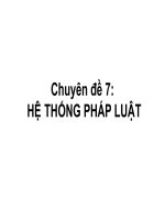 CHUYÊN ĐỀ 7 HỆ THỐNG PHÁP LUẬT