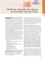 CHƯƠNG 26 Hệ tiết niệu: Giải phẫu chức năng và sự hình thành nước tiểu ở thận