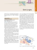 CH ươNG 53 2 Sinh lý nghe