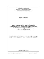 Thực trạng, giải pháp phát triển sản xuất ngành trồng trọt theo hướng hàng hóa ở huyện Chiêm Hóa, tỉnh Tuyên Quang (LV thạc sĩ)