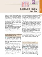 CHƯƠNG 28 Bài tiết và tái hập thụ ống thận