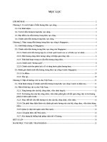 Chính sách tiền lương trong khu vực công ở Singapore và một số bài học rút ra cho Việt Nam