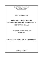 Phát triển dịch vụ thẻ tại Ngân hàng Thương mại Cổ phần Á Châu chi nhánh Đăk Lăk